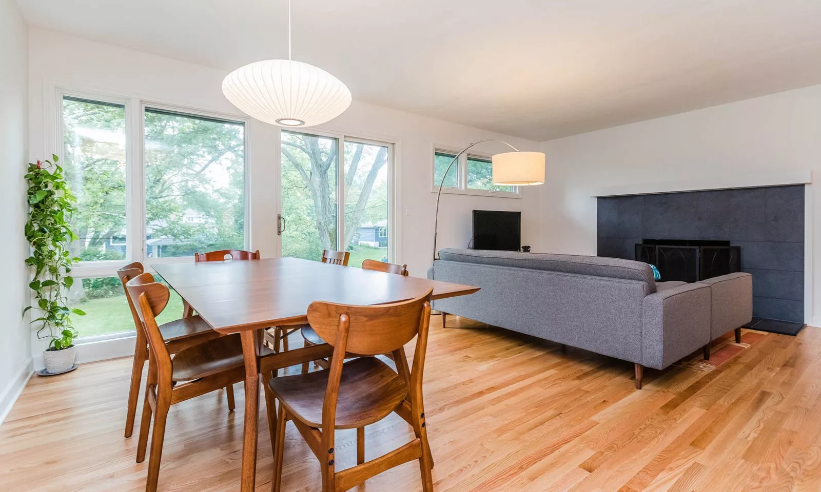 mid century modern ranch renovation and remodel view of open plan of dining rom and family room with windows to backyard